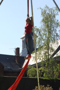 IMG 9500