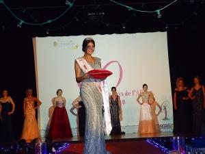 DSC00741