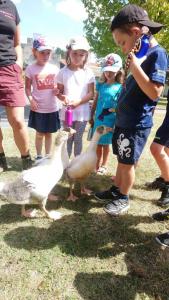 received 290360322249535 copie