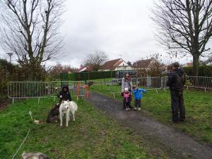 DSC04131-copie