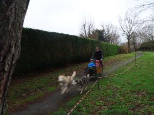DSC04141-copie