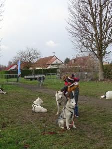 DSC04370-copie