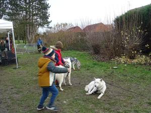 DSC04372-copie