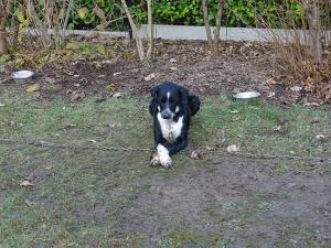 DSC04373-copie
