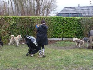 DSC04130-copie