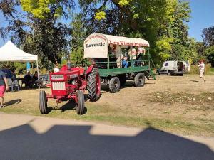 IMG 20260712 164426