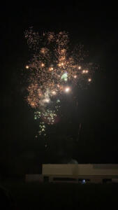 IMG 9870