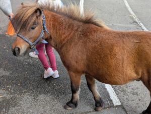 PXL 20250830 091102033.RAW-01.COVER-copie