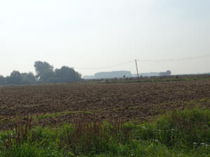 DSC00018