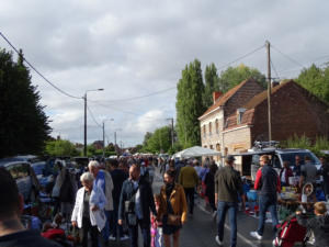 DSC06510
