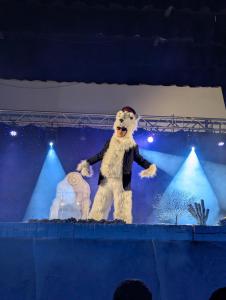 PXL 20251207 142328194.RAW-01.COVER-copie