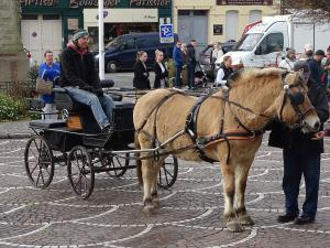 DSC03999-copie