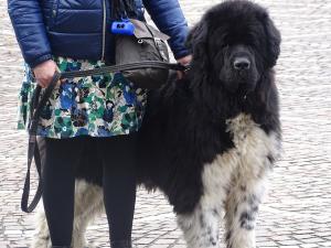 DSC04000-copie