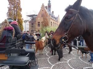 DSC04007-copie