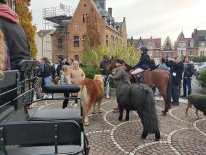 IMG 20231126 123325-copie